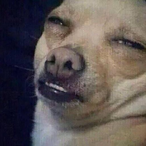 THANOS_DAWG_'s Avatar'