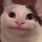 Mathadox_'s Avatar'