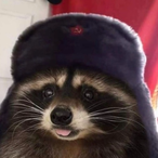 RoxEatsBeans's Avatar'