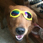 mrflipflop-'s Avatar'