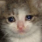 UglyFreek_'s Avatar'