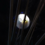 Jimeymccool's Avatar'