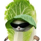 Netpolice-.'s Avatar'