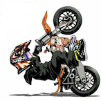 ll-Shooter-Ii's Avatar'