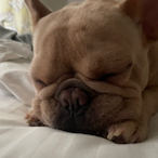 GummyzV2's Avatar'
