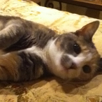 TheModfatherInc's Avatar