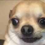 SunR0k's Avatar'