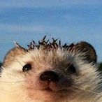 LulvJack's Avatar'