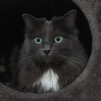 Er_Saimonsss's Avatar'