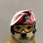 erroldynamic's Avatar'
