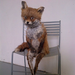 DaddysLoveSweat's Avatar'