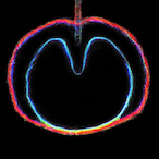 MEGA_LIPS's Avatar'