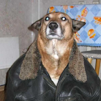 TENET.Rival's Avatar'