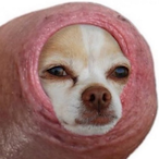 PanFrytson's Avatar'