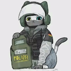 Valkyrie_Y-Y's Avatar'