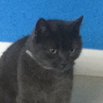 PresiWessi's Avatar'