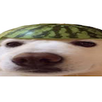 snep_1's Avatar'