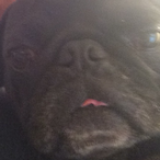 Stay_Lit_MF's Avatar'