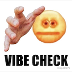 TheVibeCheck's Avatar'