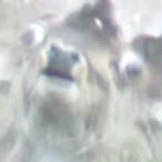 jebadiah64's Avatar'