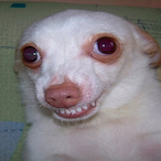 BonQueQue..'s Avatar'