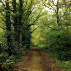 Gridlock.Main's Avatar'