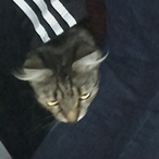 Nuggiez_z's Avatar'