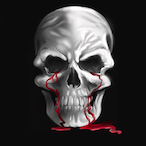 ShinKage's Avatar'