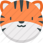 tigerboy747's Avatar'