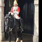 Rangertwoee's Avatar