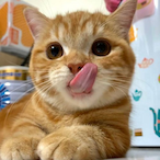 humor_kid's Avatar'