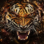 Curiosity..'s Avatar'
