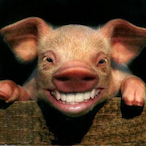 mlogsted's Avatar'