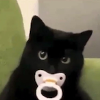 korii's Avatar'