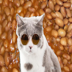 KaiCenardGyat67's Avatar'
