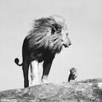 GYJ_DAVR's Avatar'