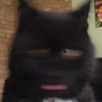 Mod.Podge's Avatar'