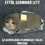 HappyAlmond's Avatar'
