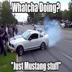 CrowdMagnet's Avatar'