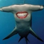 Sharkattack0607's Avatar'