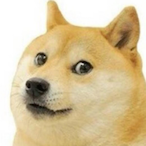 TransverseWave's Avatar'