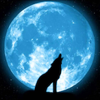 AIM_Benorisz's Avatar'