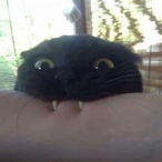 lIWhiplashxl's Avatar'