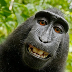 troiassa's Avatar'