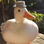 Hyper_CookieZ's Avatar'