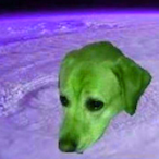 kagxmi's Avatar'