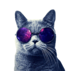 NEFFzii's Avatar'