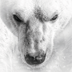 Addicted-2-Life's Avatar