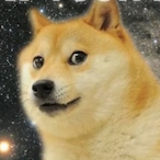 peanutflydog's Avatar'