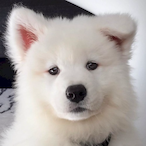 Kiniusia69's Avatar'